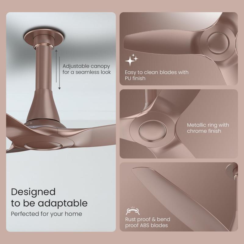 Orient Electric Newly Launched Aeroquiet Neu 1230mm Ceiling Fan for Home | Rust-proof ABS blade |2 Years Warranty by Orient | Tangerine Brown, Pack of 1