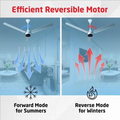 LUKER JVLuker USA Size Zero Neo 1200mm BLDC Ceiling Fans with Remote, BEE 5 star Rated Energy Saving Ceiling Fan for Living Room, High Air Delivery with LED Indicators, Pearl-Blue-Black